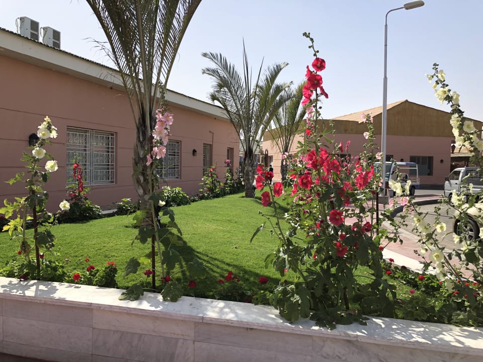 Gartenanlage Pickalbatros Jungle Aqua Park Resort - Neverland Hurghada