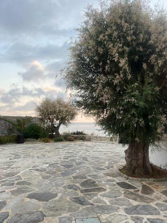 Außenansicht Creta Maris Resort