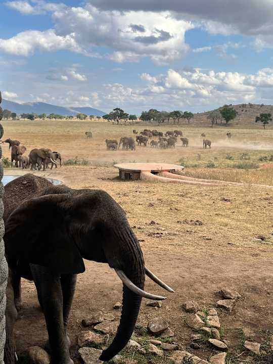 Ausblick Taita Hills Safari Resort & Spa