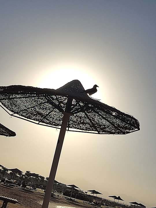 Strand Hurghada Long Beach Resort