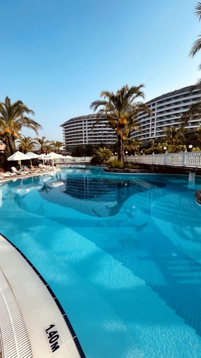 Pool Royal Wings Hotel