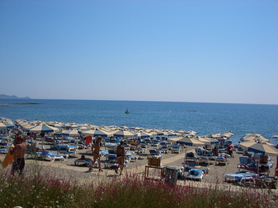 Aussicht von Strandbar auf Hotelstrand&Liegen Rodos Princess Beach Hotel & Spa