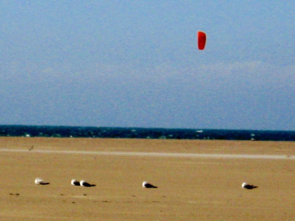 Der Strand Landhaus Ellerbrock