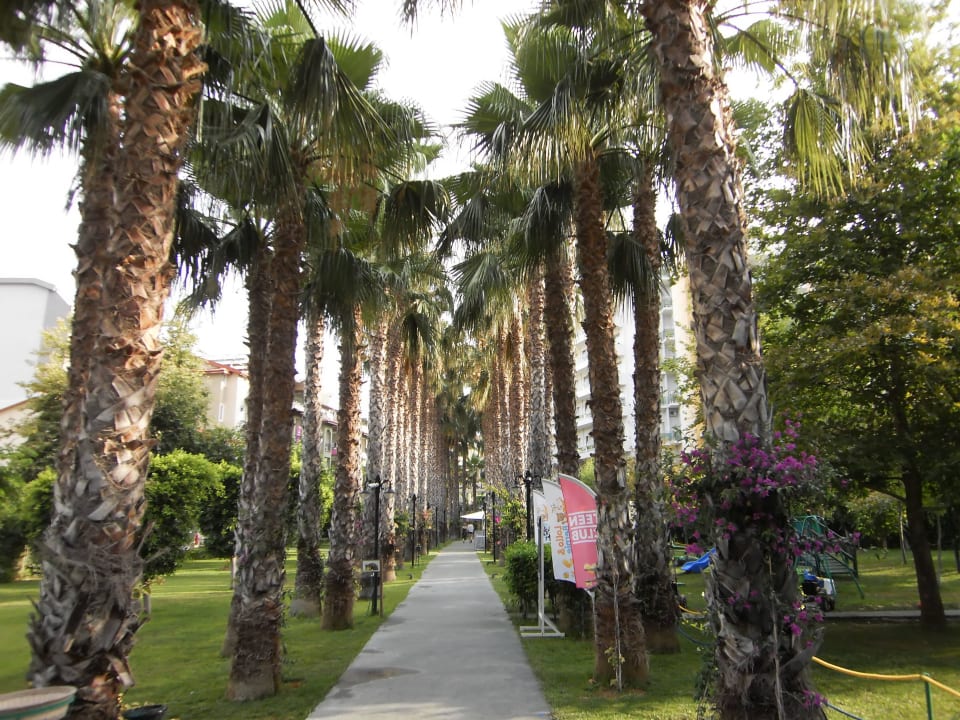 Weg zum Strand Hotel Gardenia Beach
