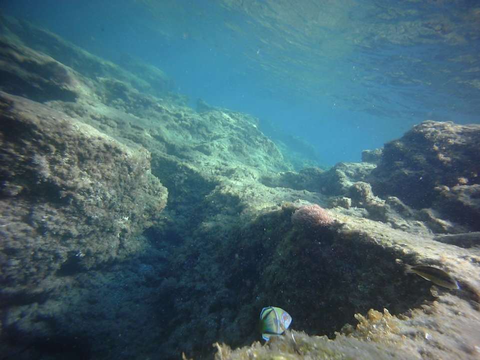 Strand Hotel Kalithea Horizon Royal