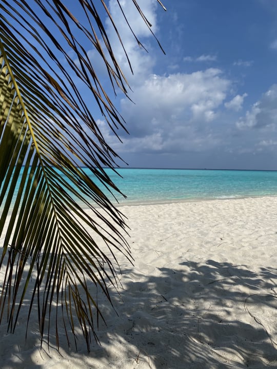 Strand Summer Island Maldives