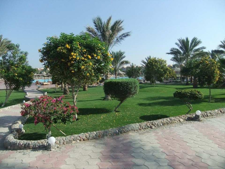 Gartenanlage wunderbar grün Three Corners Sea Beach Resort