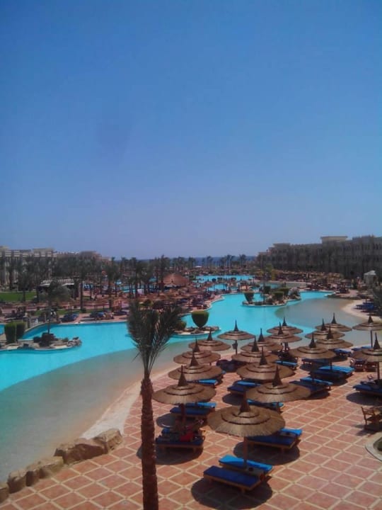 Traumhafte Anlage Pickalbatros Palace Resort