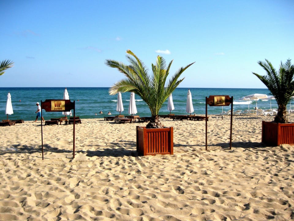 Hier verweilen die VIPs Hotel Palace, Sunny Day Resort