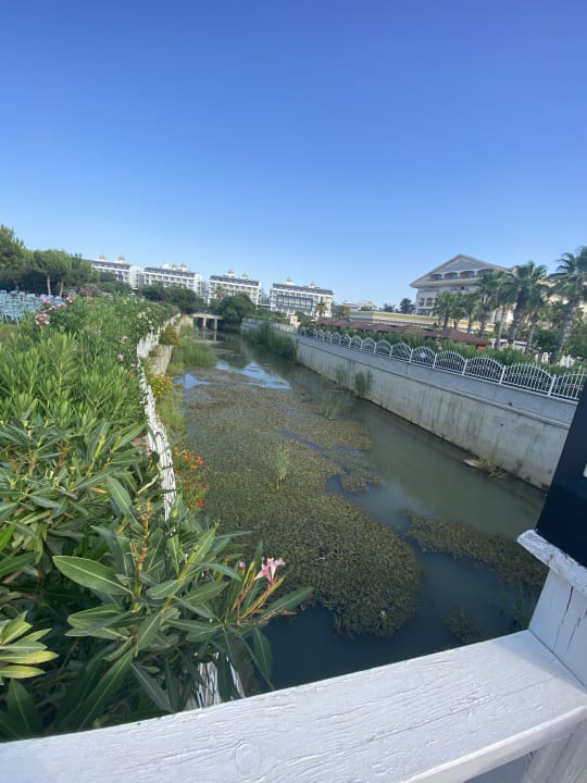 Gartenanlage Diamond Excellence Resort & Spa