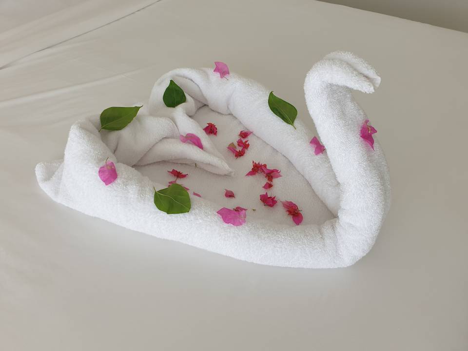 Zimmer JAZ Elite Asteria