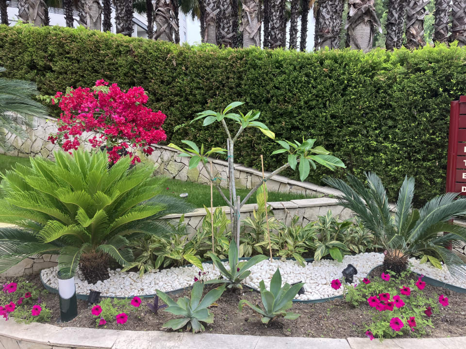 Gartenanlage Miramare Queen Hotel