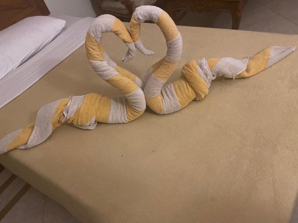 Zimmer Imperial Shams Abu Soma