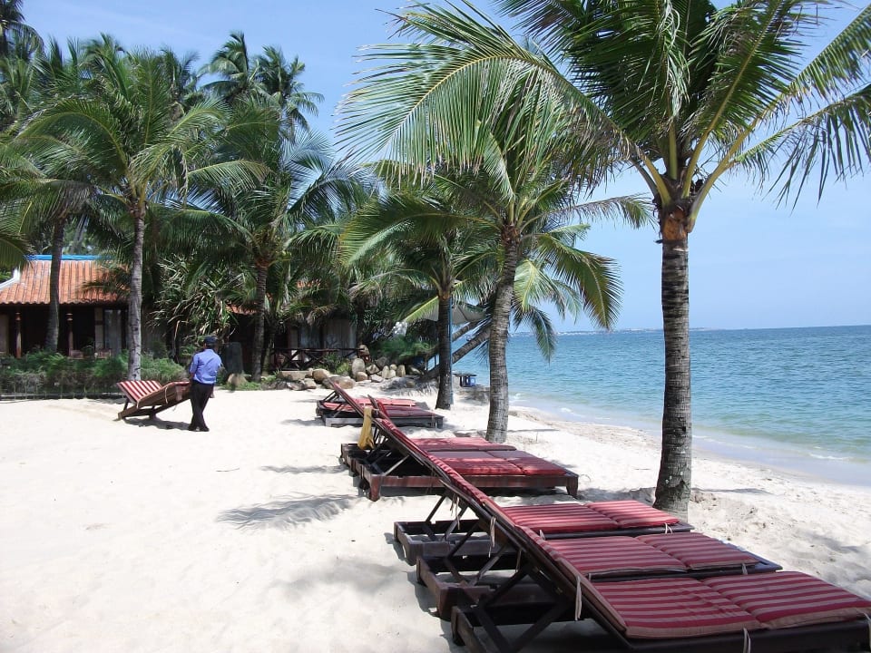 Strand mit Liegen Hoang Ngoc Beach Resort