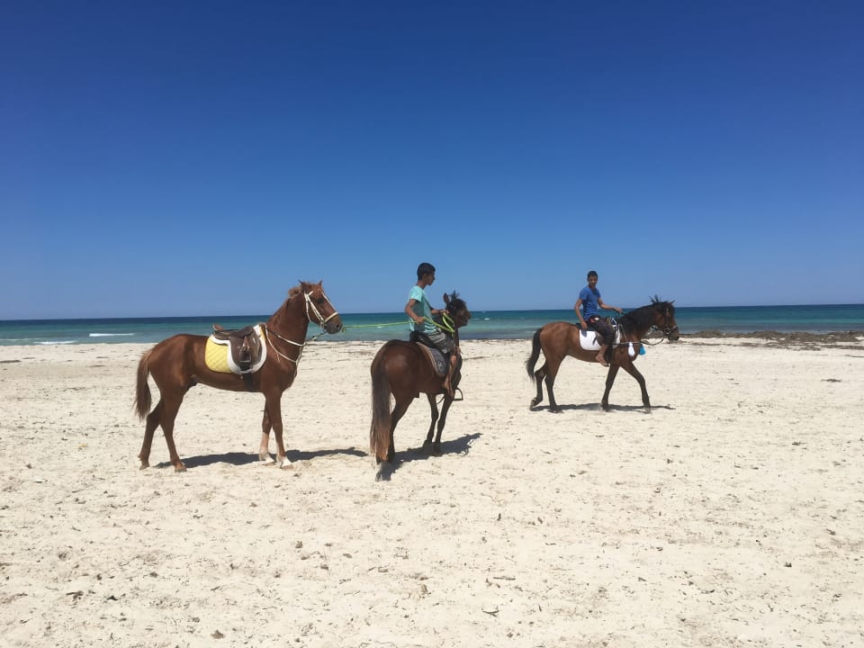 Strand ROBINSON DJERBA BAHIYA