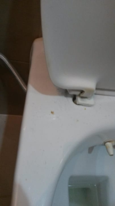 Urinierte Toilette vom vorherigen Gast Büyük Hotel