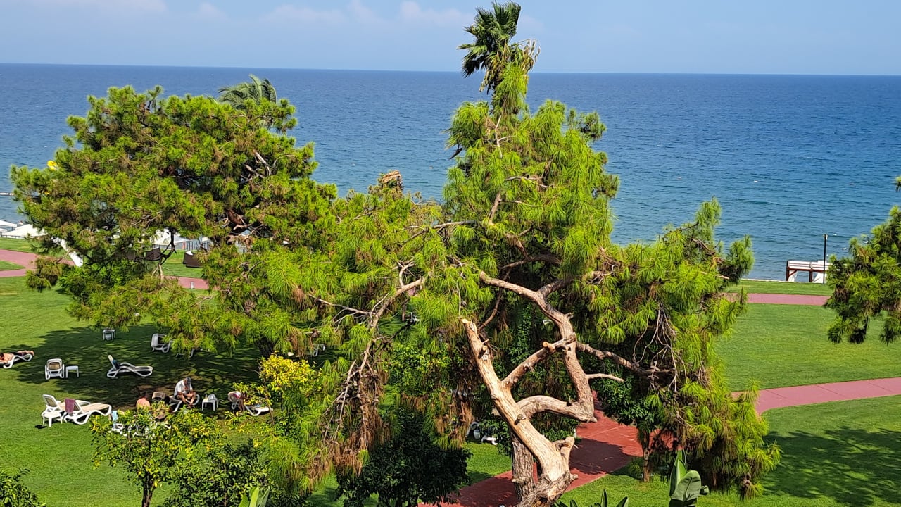 Außenansicht TUI MAGIC LIFE Beldibi +16