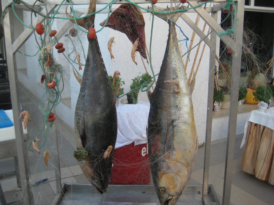 Fische wurden gegrillt Hotel El Mouradi Djerba Menzel