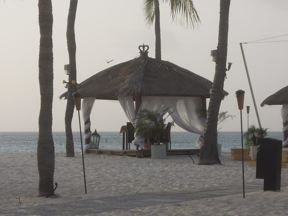 Cabanas zum Mieten für romantisches Dinner Bucuti & Tara Beach Resort - Adults only