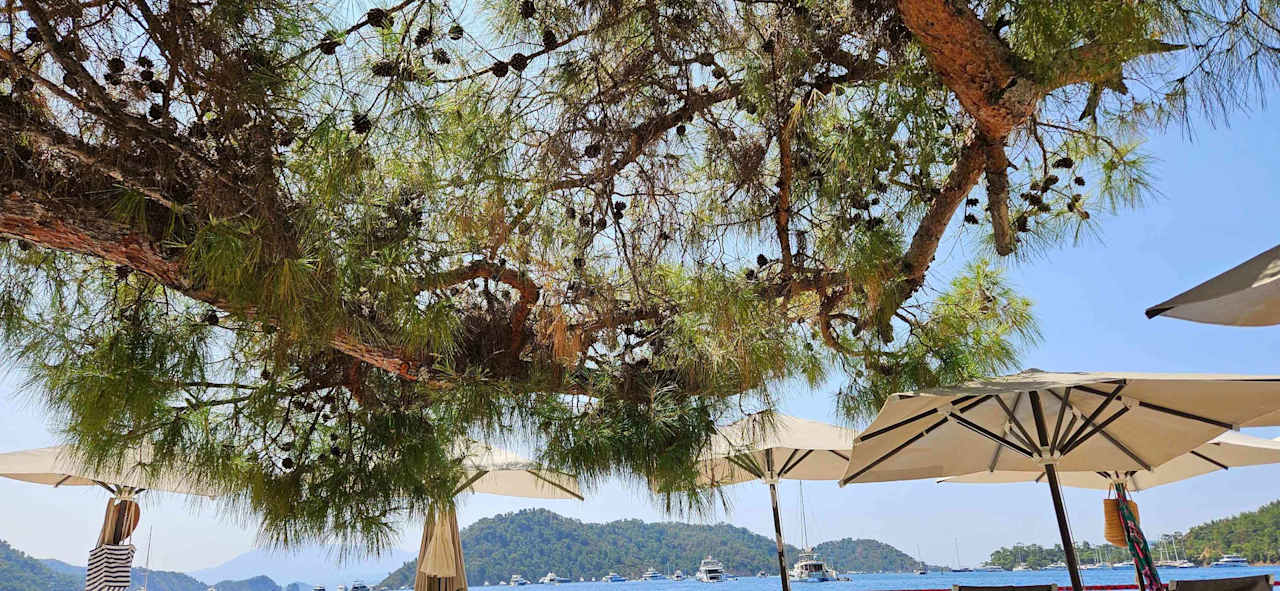 Strand Club Prive by Rixos Gocek