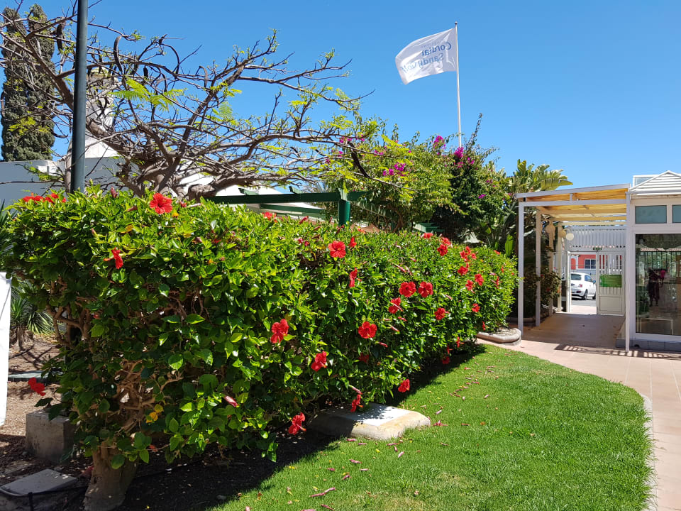 Gartenanlage Bungalows Cordial Sandy Golf