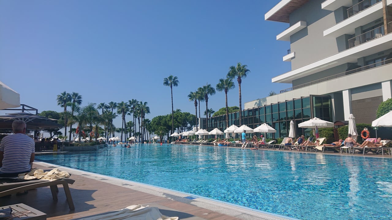 Pool Acanthus Cennet Barut Collection