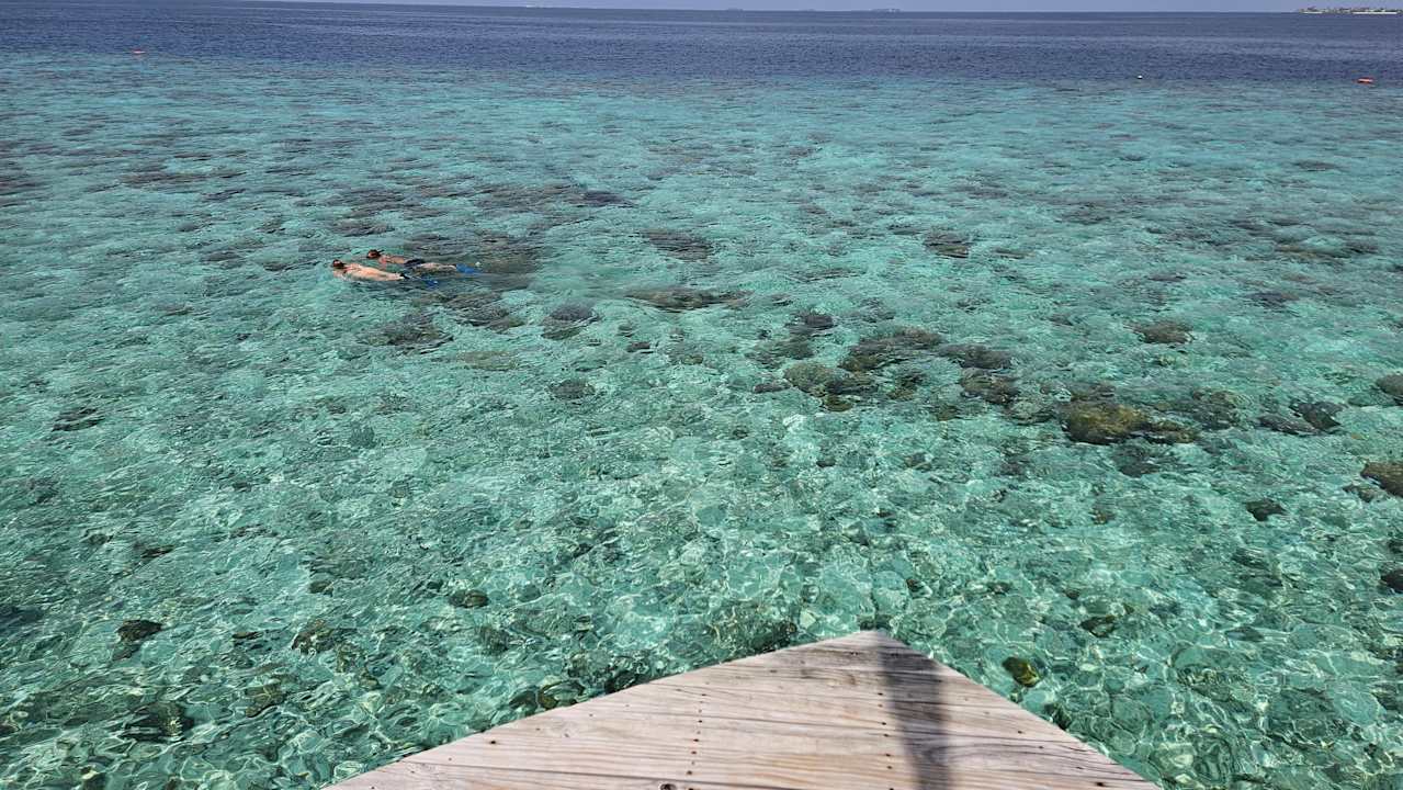 Zimmer Centara Ras Fushi Resort & Spa Maldives