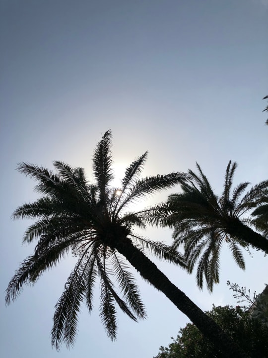 Gartenanlage Mahdia Beach & Aquapark