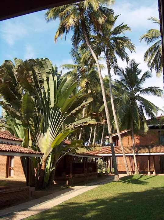 Botanischer Garten zwischen den Zimmern Hotel Club Bentota