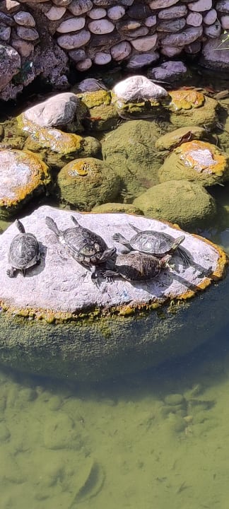 Gartenanlage Limak Limra Hotel & Resort