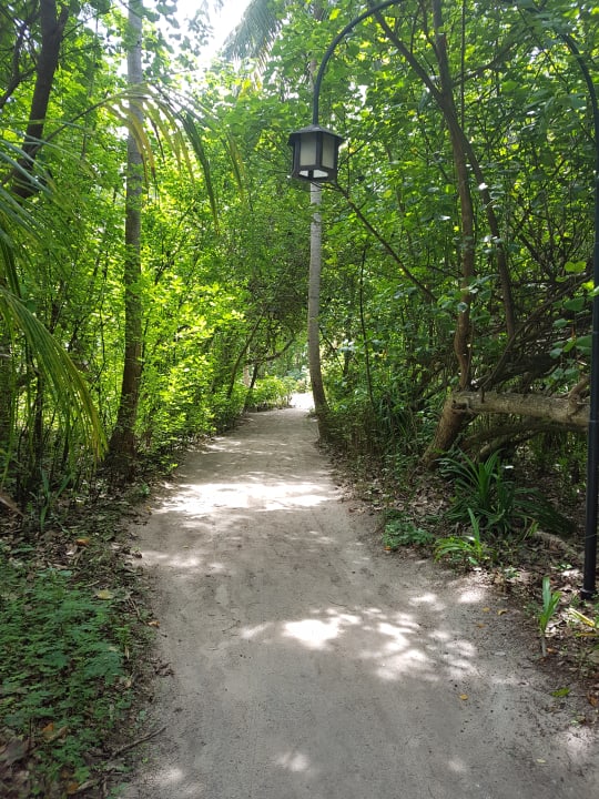 Gartenanlage Reethi Beach Resort