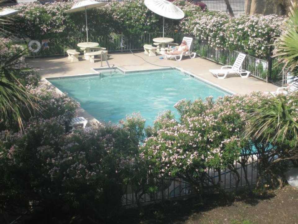 Toller Pool Red Roof Inn Galveston - Beachfront/Convention Ctr