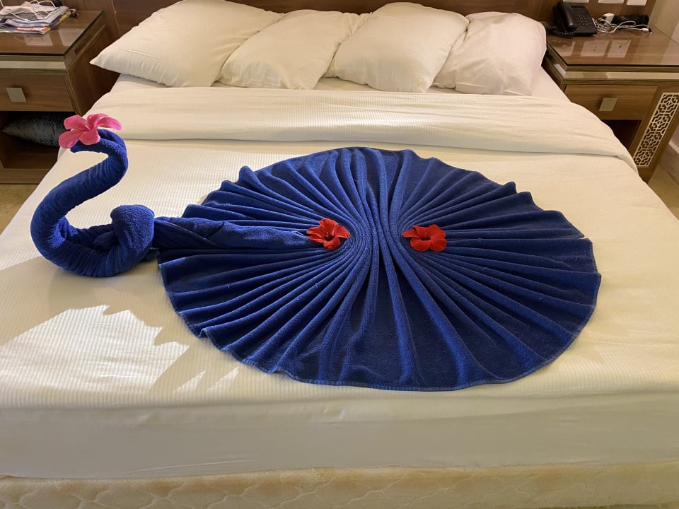 Zimmer Pickalbatros Sea World Resort - Marsa Alam