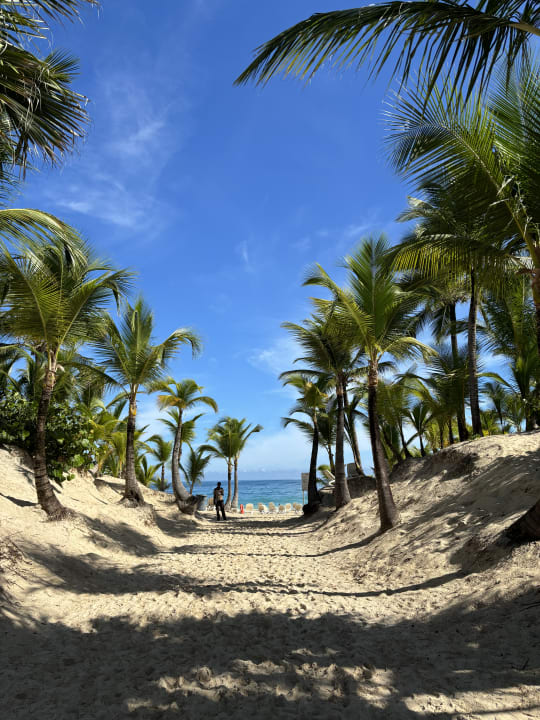 Strand Hotel Riu Republica - Adults only