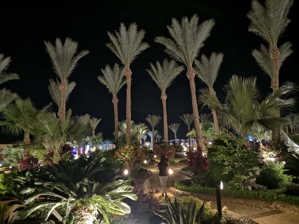 Gartenanlage Riviera Aqua Park Resort