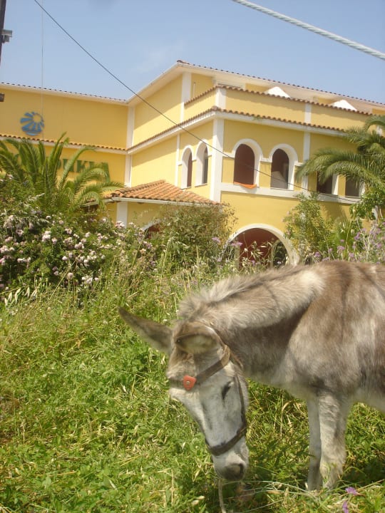 In porto koukla Porto Koukla Beach