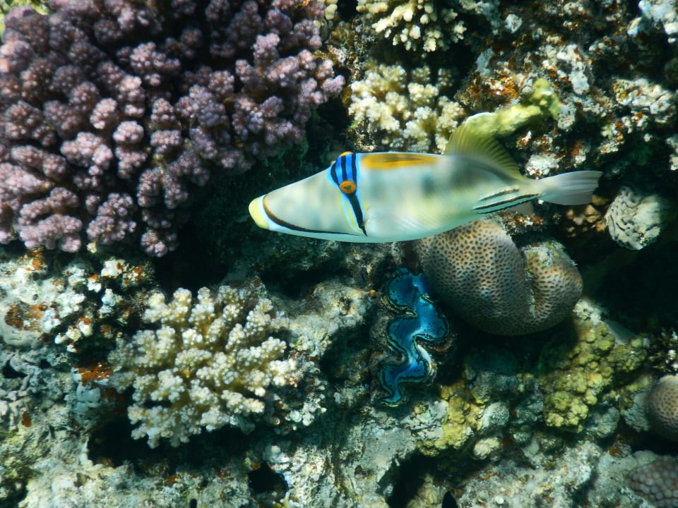 Sport & Freizeit Grand Makadi