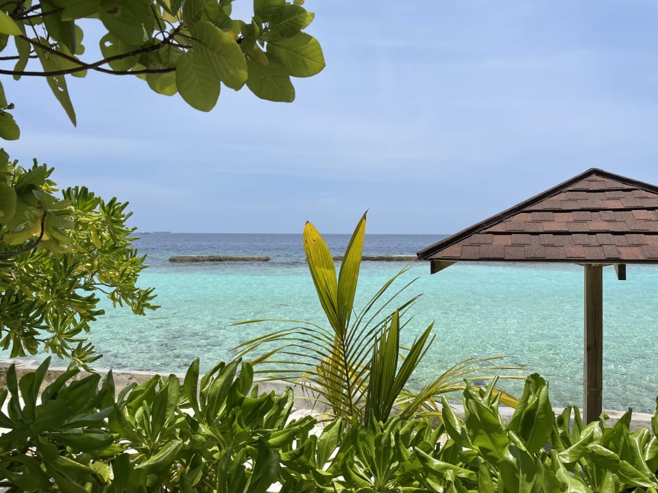 Zimmer Ellaidhoo Maldives by Cinnamon