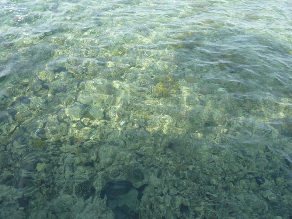 Klares Wasser Stella Beach Resort & Spa Makadi Bay