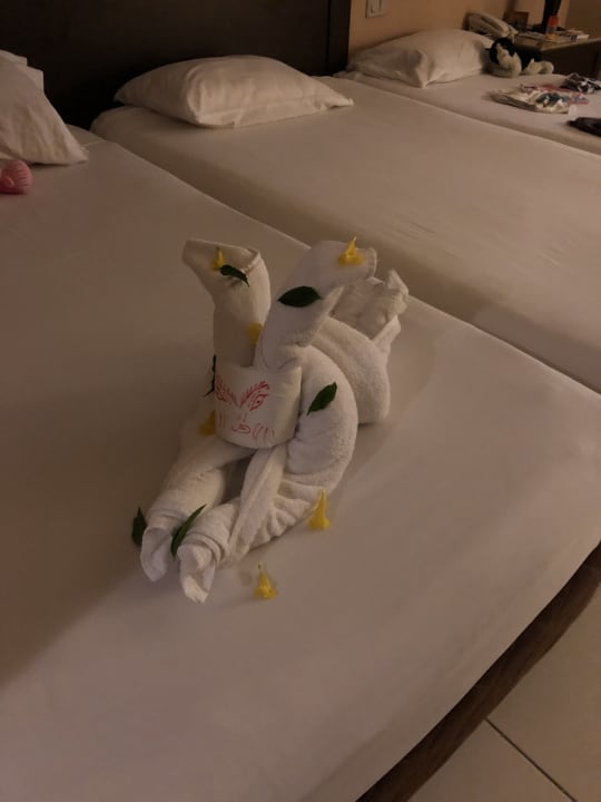 Zimmer Jaz Dar EL Madina