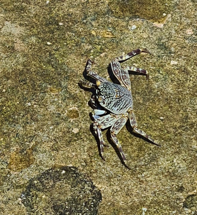 Strand Cinnamon Dhonveli Maldives