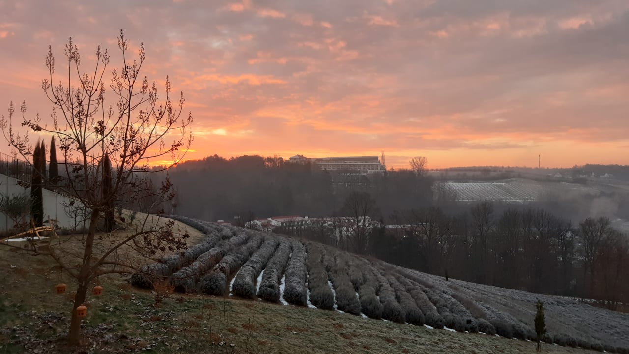 Außenansicht Wilfinger Bio Thermen Hotel