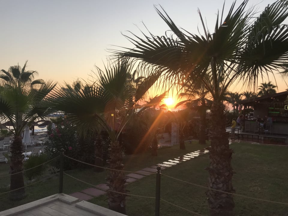 Gartenanlage Club Dizalya