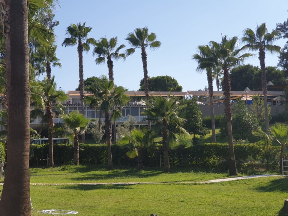 Gartenanlage Club Sidelya Hotel