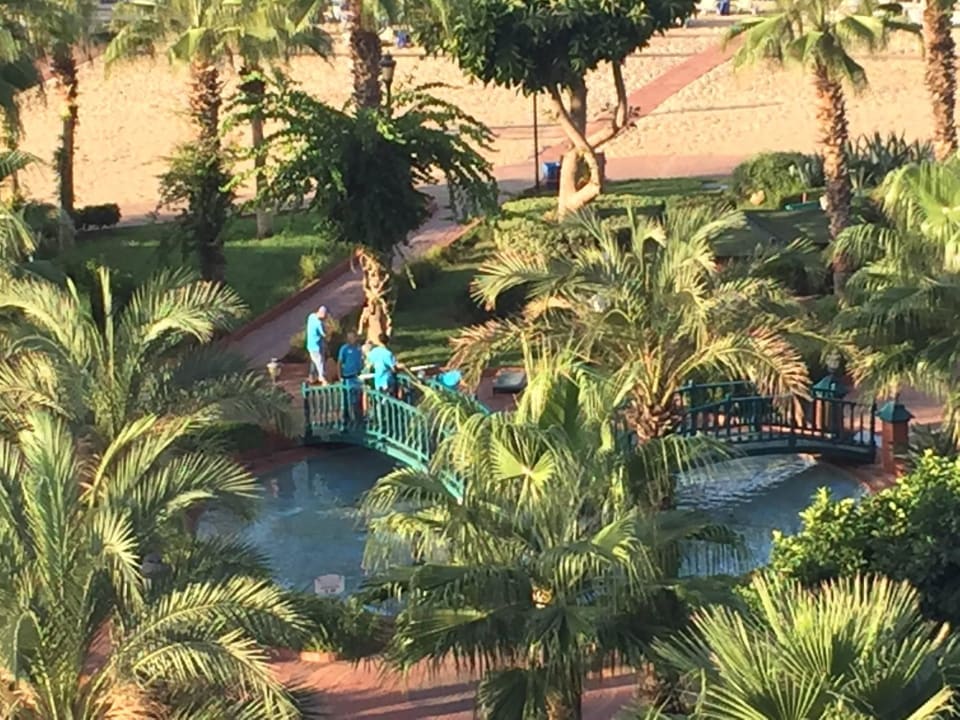 Ausblick  Gardenia Hotel