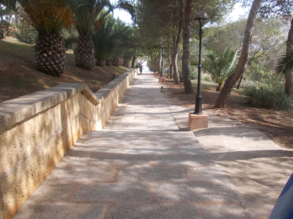 Weg zum Strand Insotel Club Cala Mandia