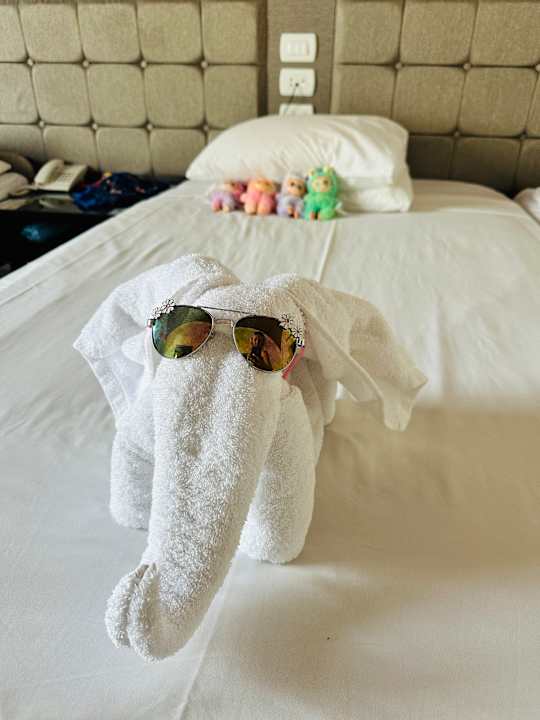 Zimmer Akassia Swiss Resort