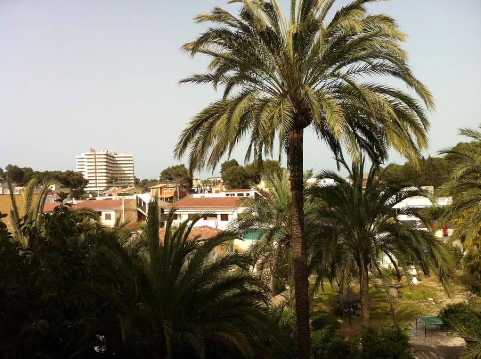 Ausblick Richtung Norden Hotel HM Ayron Park