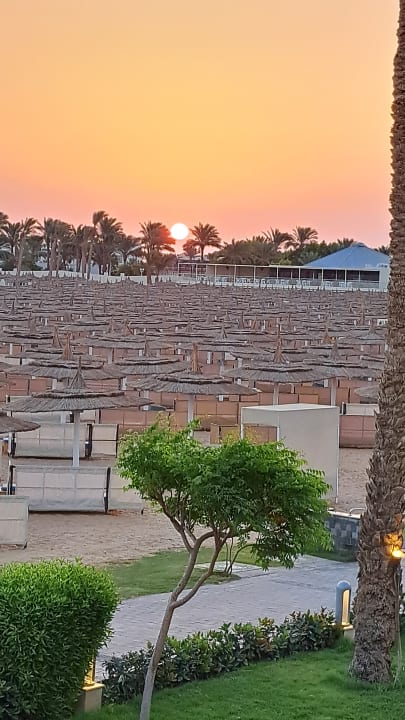 Ausblick Pickalbatros Dana Beach Resort - Hurghada