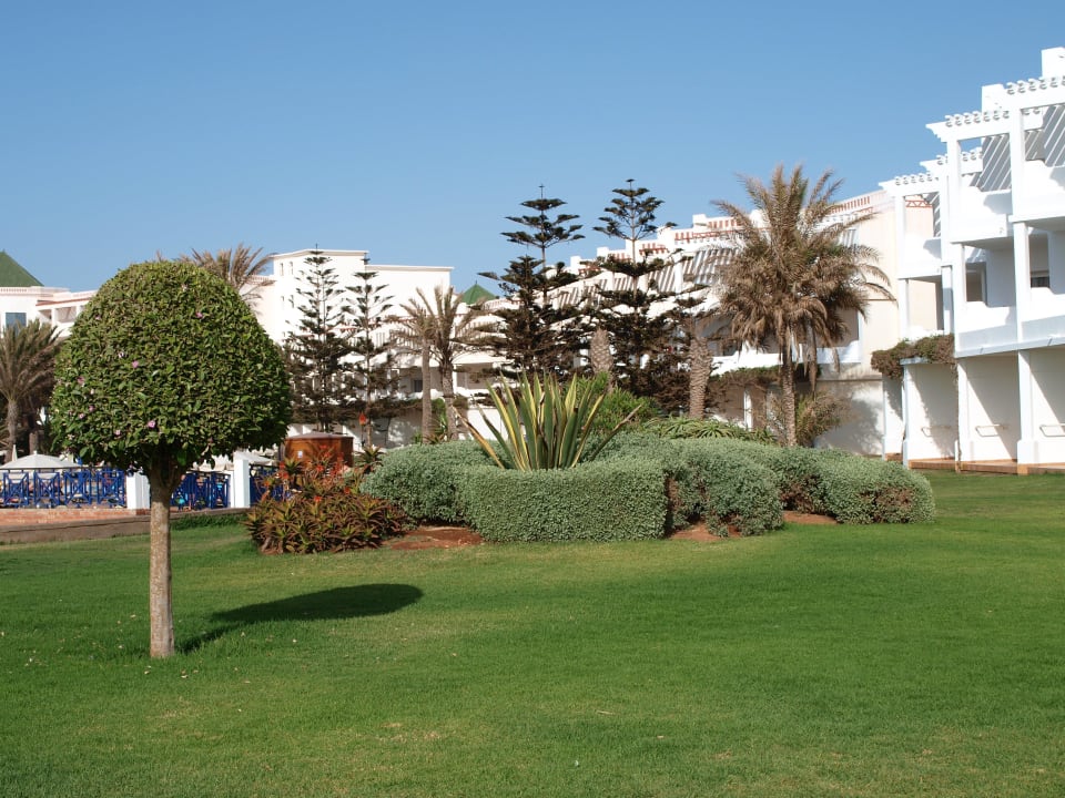 Ogród Iberostar Waves Founty Beach